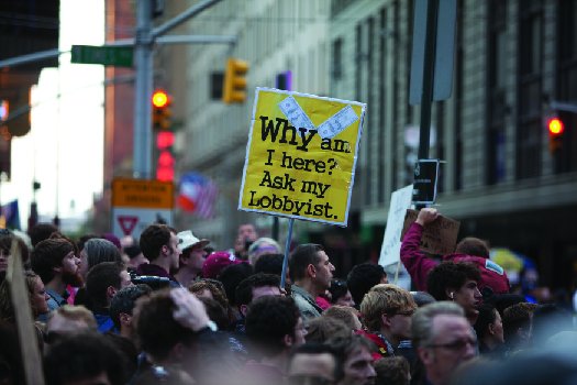 Explain the Function of Interest-Based Political Lobbying Groups