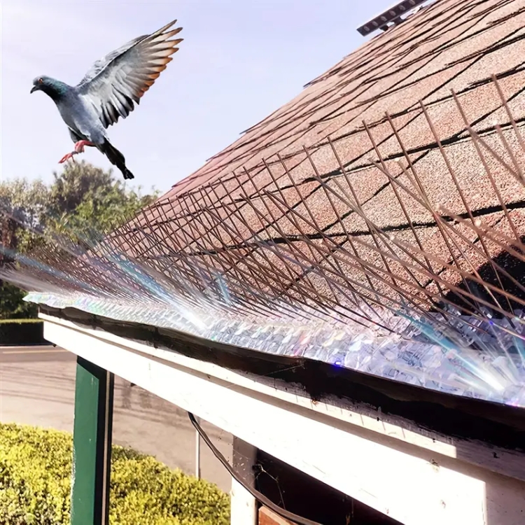 Protect Your Balconies and Rooftops with Bird Spikes in Dubai