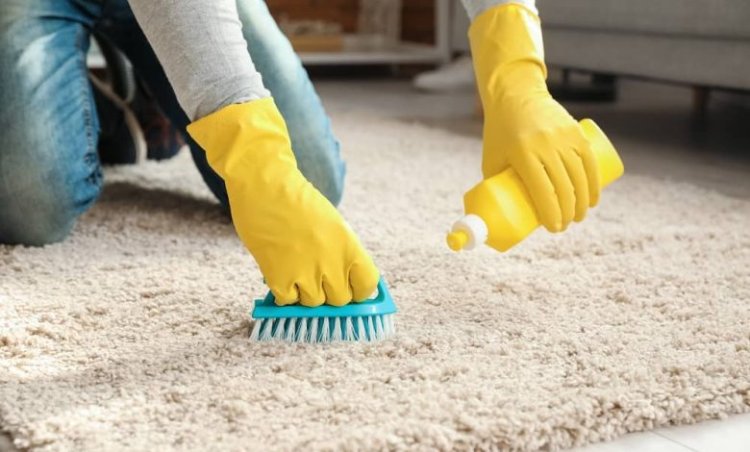 How Expert Carpet Cleaning Elevates Home Comfort