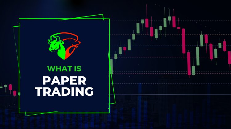 Beginner’s Guide to Paper Trading