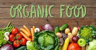 The Best Organic Vegetables for Your Diet