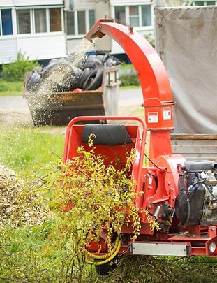 Who Offers Fast Yard Waste Removal in Deerfield Beach, FL?