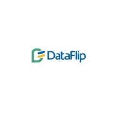 dataflip1